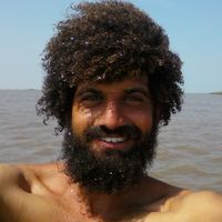 itay Nakash的照片