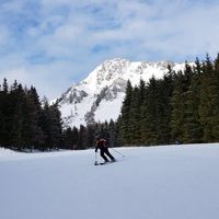 Mehran Golizadeh的照片