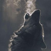 Pimaykem Huaytalla Ramos's Photo