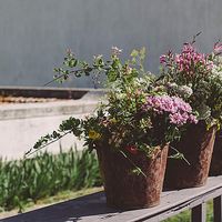 Bianca Meser's Photo