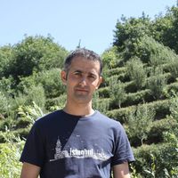 Vahid Javadi's Photo