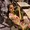 Suhana Shaik's Photo