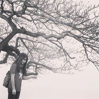 Giang Giang的照片