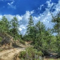 Michael Davis的照片