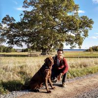 Le foto di Álvaro Carrillo