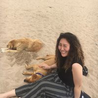 Irene Chung的照片