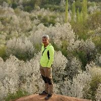 Mehdi Lagzian's Photo