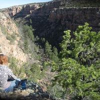 Cara Finnell's Photo