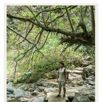 Lautaro  Martínez的照片