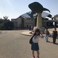 Le foto di Boshu Zhang