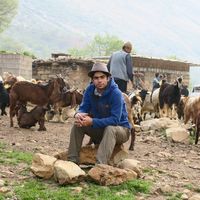 Sadeq Khorsandi's Photo