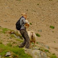 Stefania Watzal's Photo