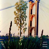 Le foto di Alaa Chaaban