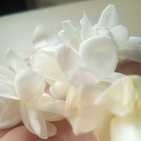 Areeba Talha's Photo