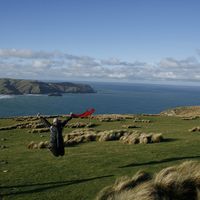 Jelena Herman的照片