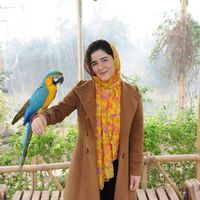 Mahssa Mahdieh的照片