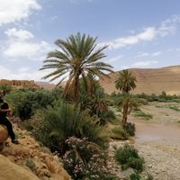 Le foto di Amalo nolgo