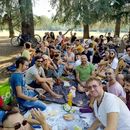 International Picnic's picture