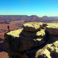 Fotos von Emily Cooksey