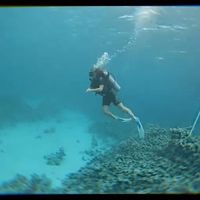 Dariana Taravska的照片