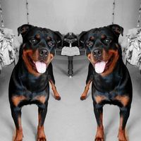 Rupesh Baria's Photo