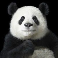 Mark Russell的照片