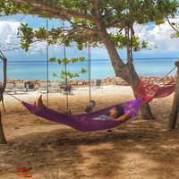 Ahmed Basuoni's Photo