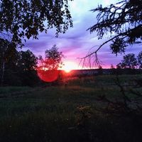 Alina Orlova's Photo