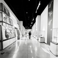 Judith Mariscal's Photo