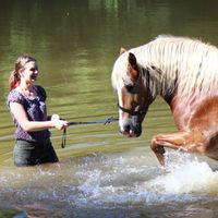 Fotos von Annika Lenz