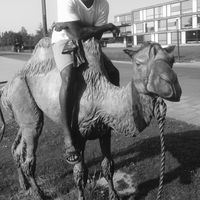 Eros Eromosele的照片