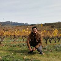 Le foto di Raul Vega