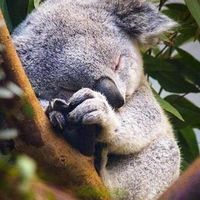 Fotos de Navid Falahi