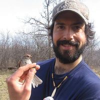 Mathieu McCann's Photo