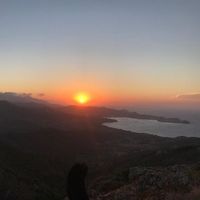 Leonora Romanini's Photo