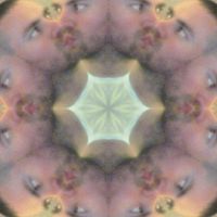 Luke Hatfield的照片