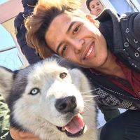 Painter Massoud's Photo