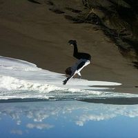 Sandra Molnar's Photo