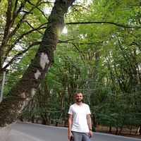 Sado Gustavo's Photo