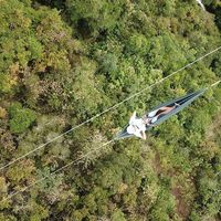 Nelly Cuéllar's Photo