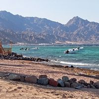 Mostafa Mahmoud's Photo