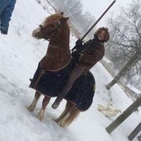 Einar Havsteen-Mikkelsen's Photo