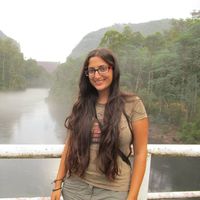 Chen Attias的照片