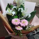  Family Have Big Home For Travelers's picture