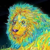 Shakal Zooloo's Photo