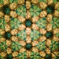 Kasper Schnack的照片