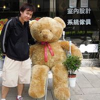 Anton  Cheng的照片