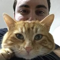 Luigi Rombi的照片