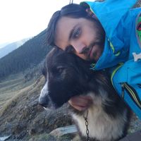 Nikola Miljkov的照片