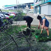 Alaska Panda Almasheva's Photo